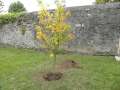 DSCN6852.JPG